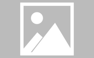 重庆河池网站建设升级项目（广西河池网河池政府网）
